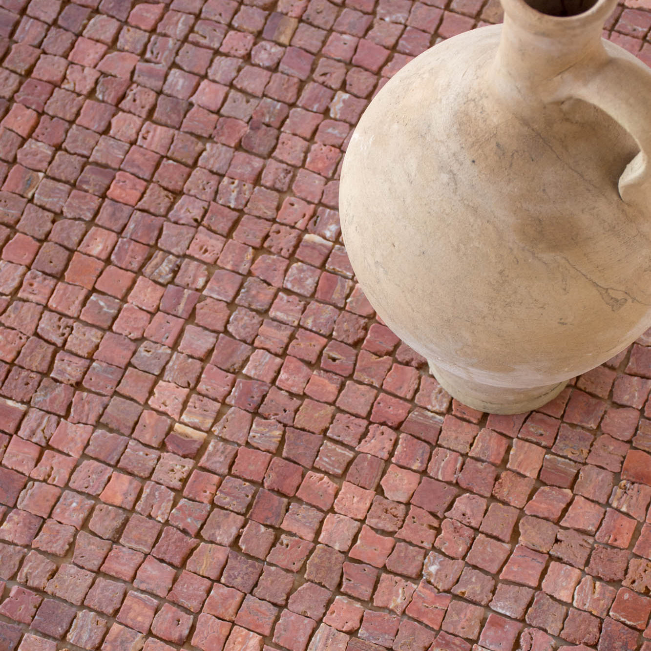 EZPD0001 Coral Sample