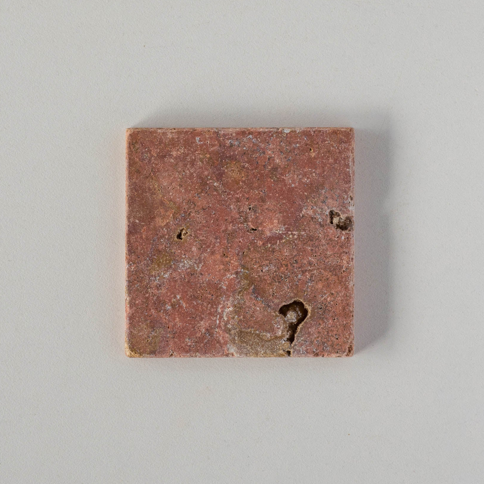 EZPD1010 Coral Individual Sample