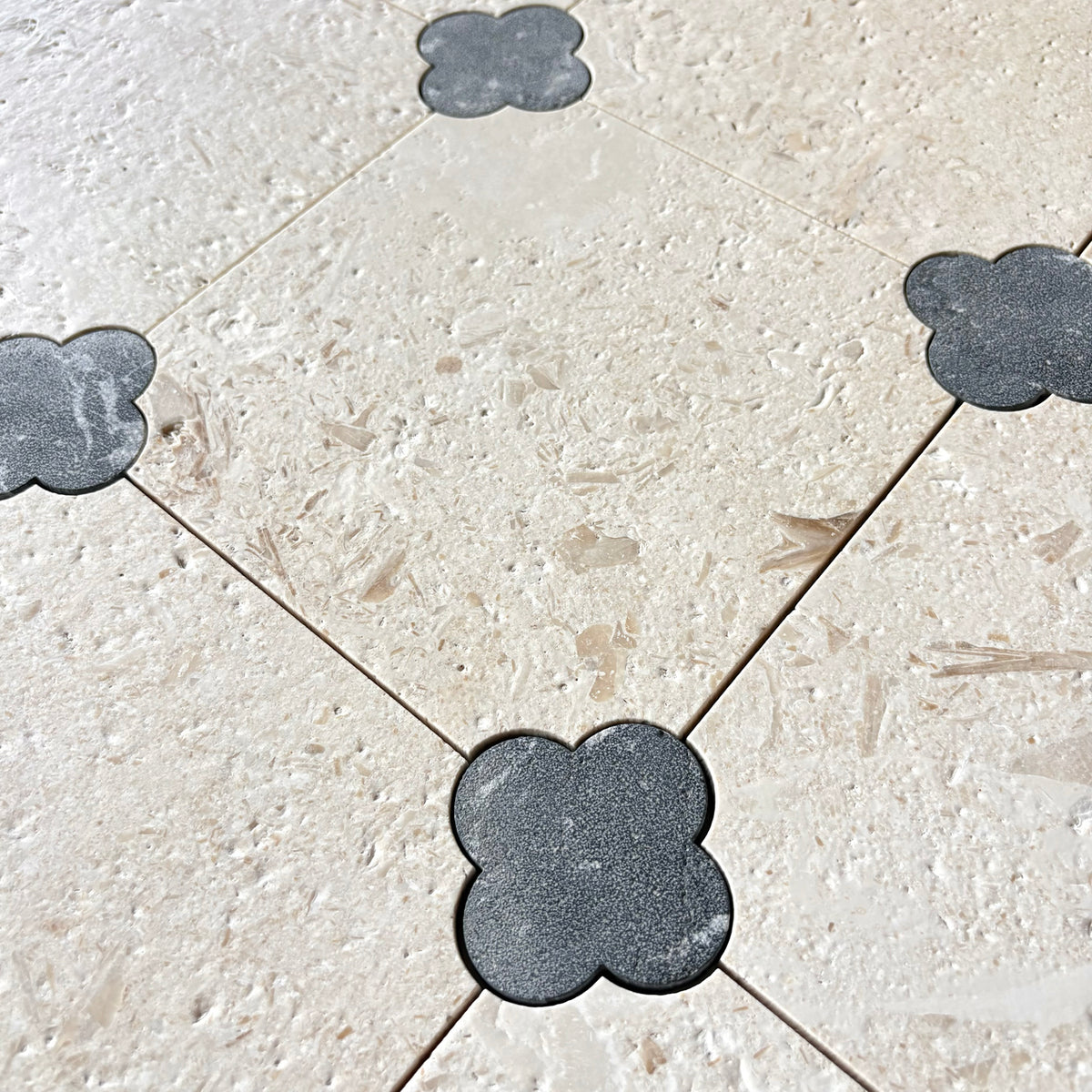 Fleur Fossil
