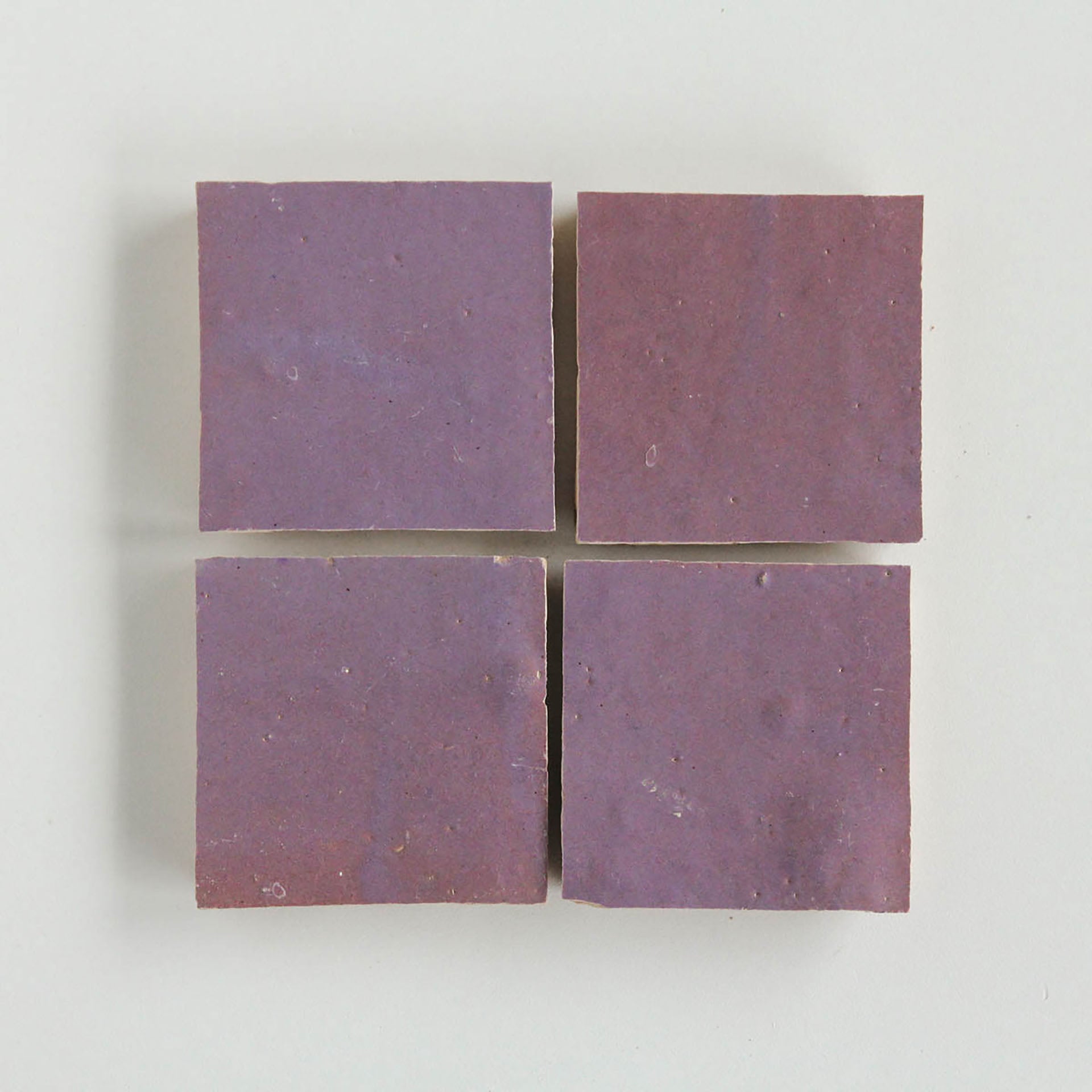 EZR1010 Eggplant