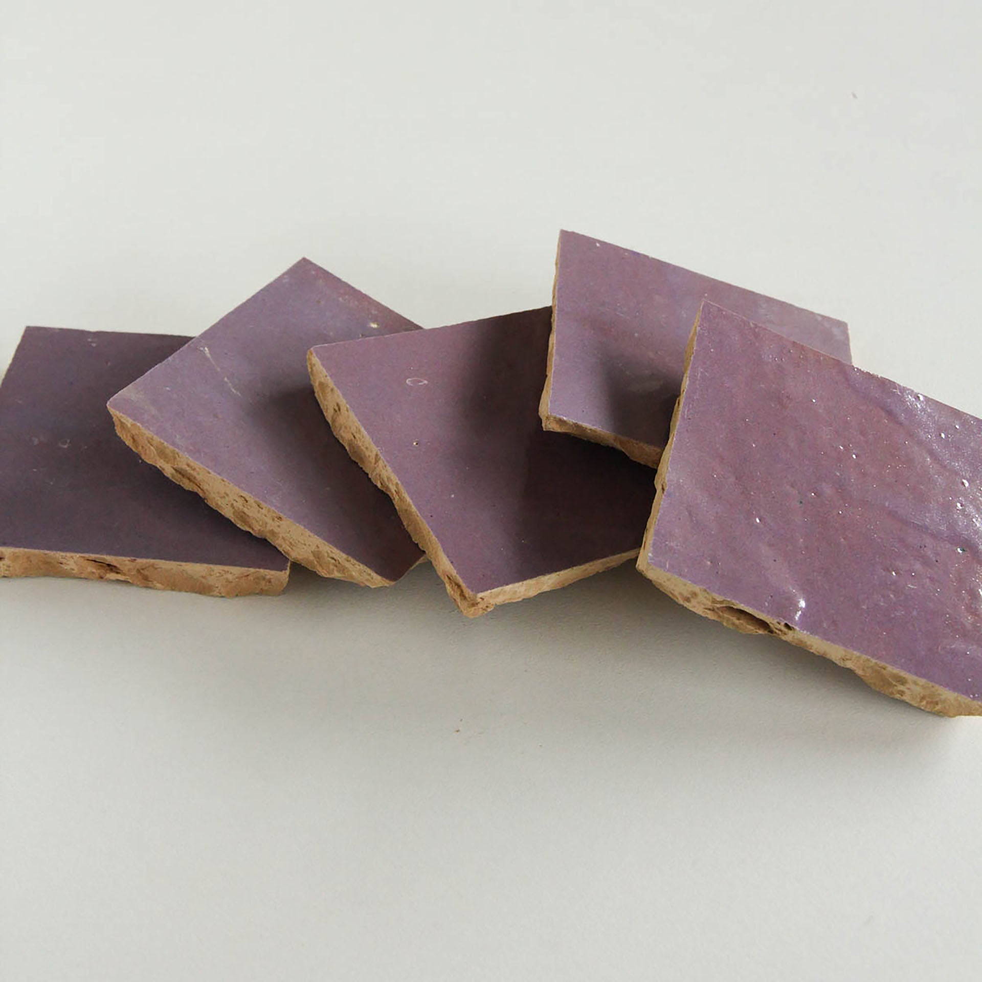 EZR1010 Eggplant