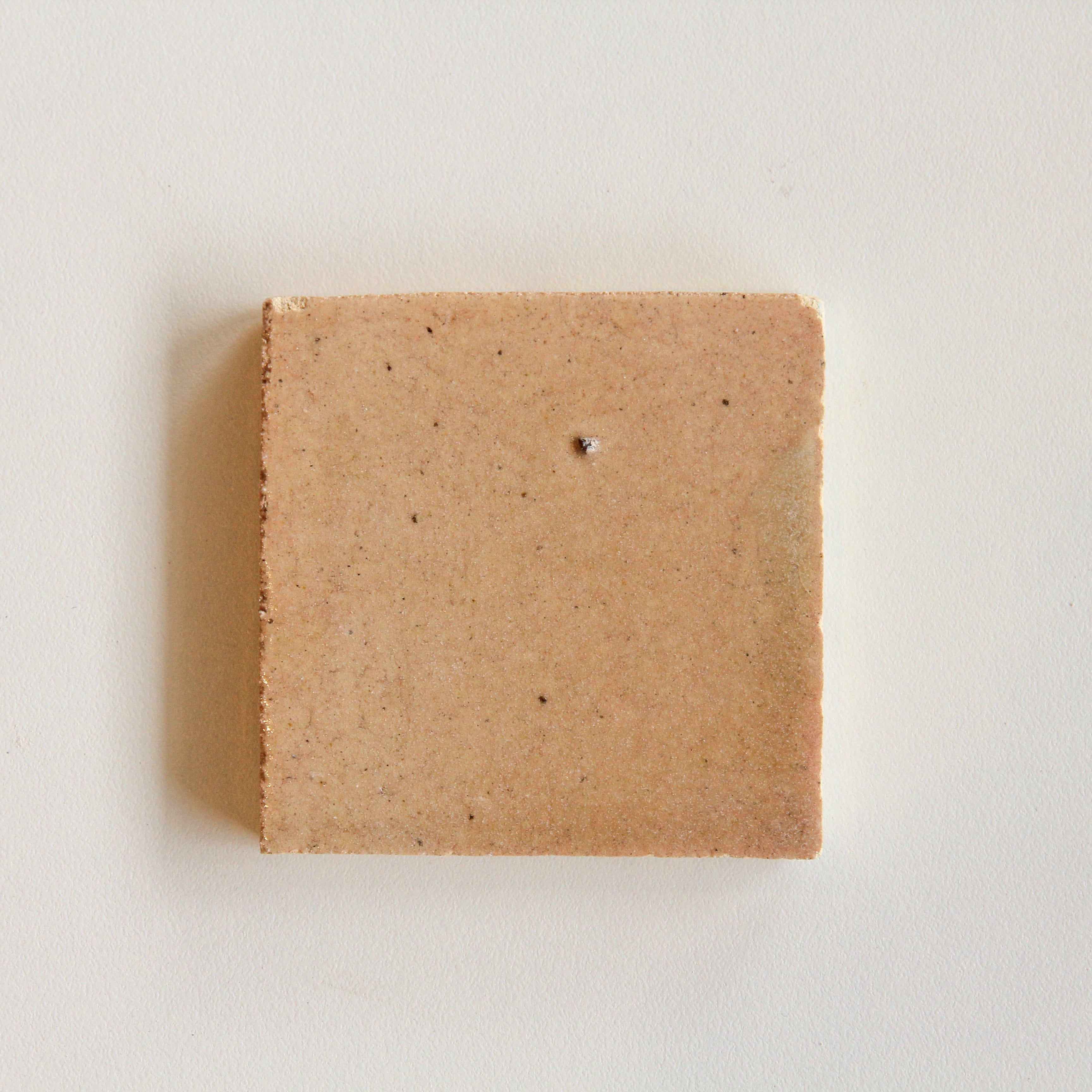 Tierra Buff Individual Tile sample