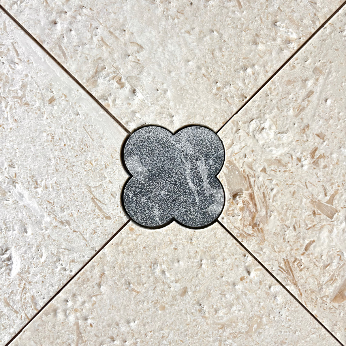 Fleur Fossil