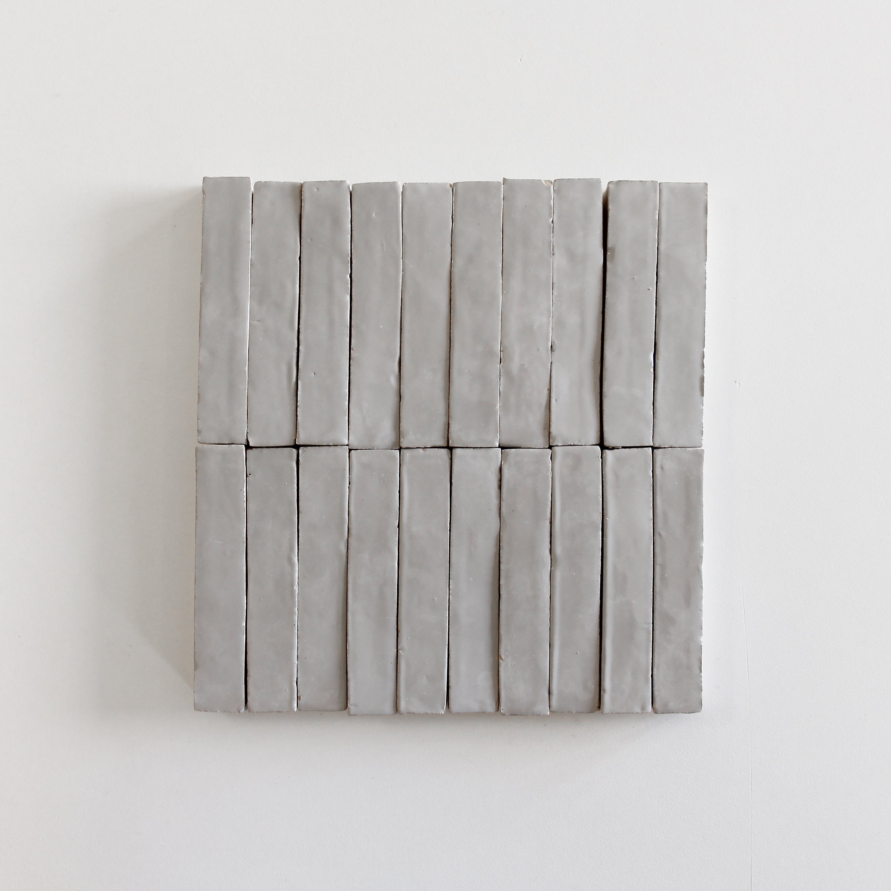 EZR1525 Skinny Chameleon Bejmat