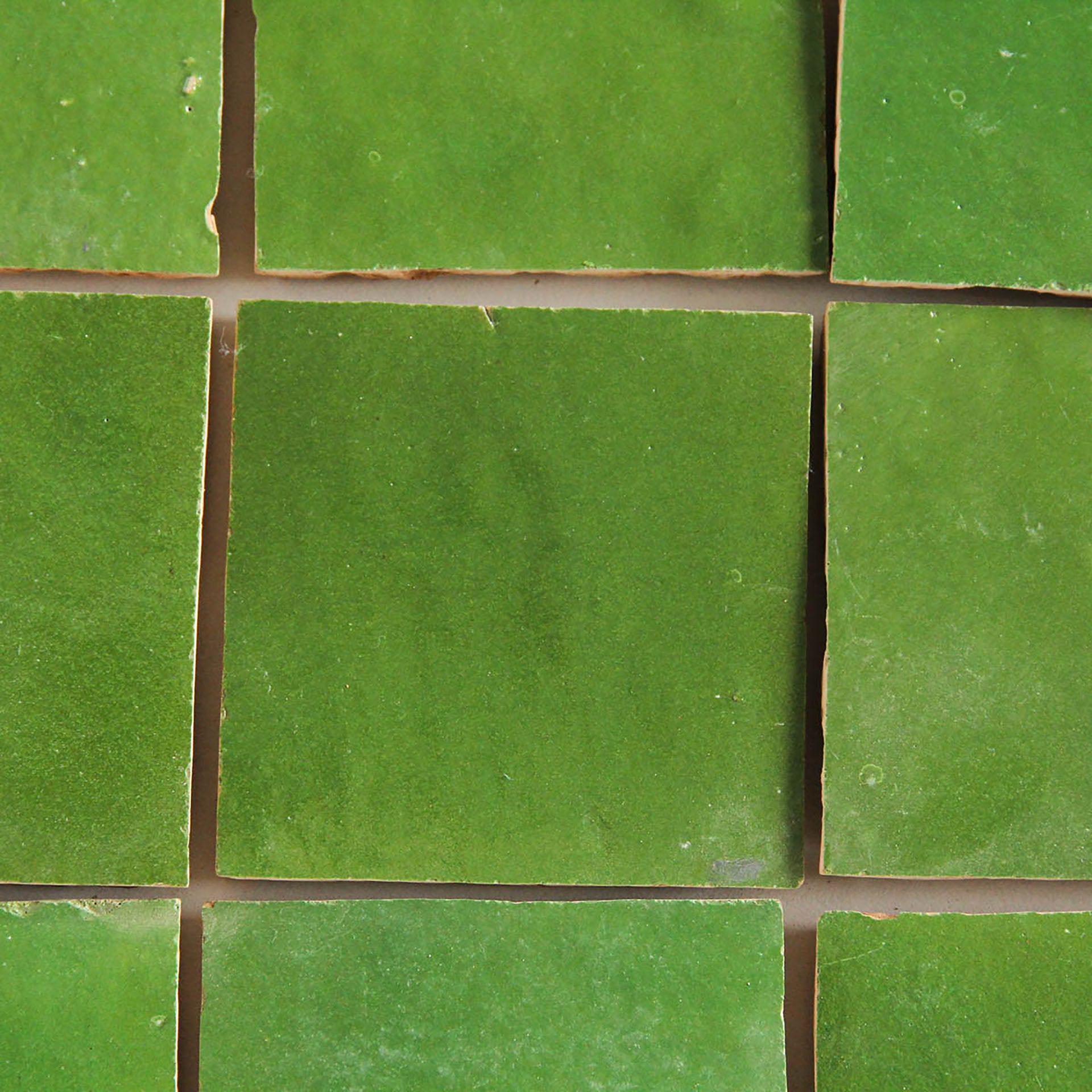 EZR1010 Kermit Zellige