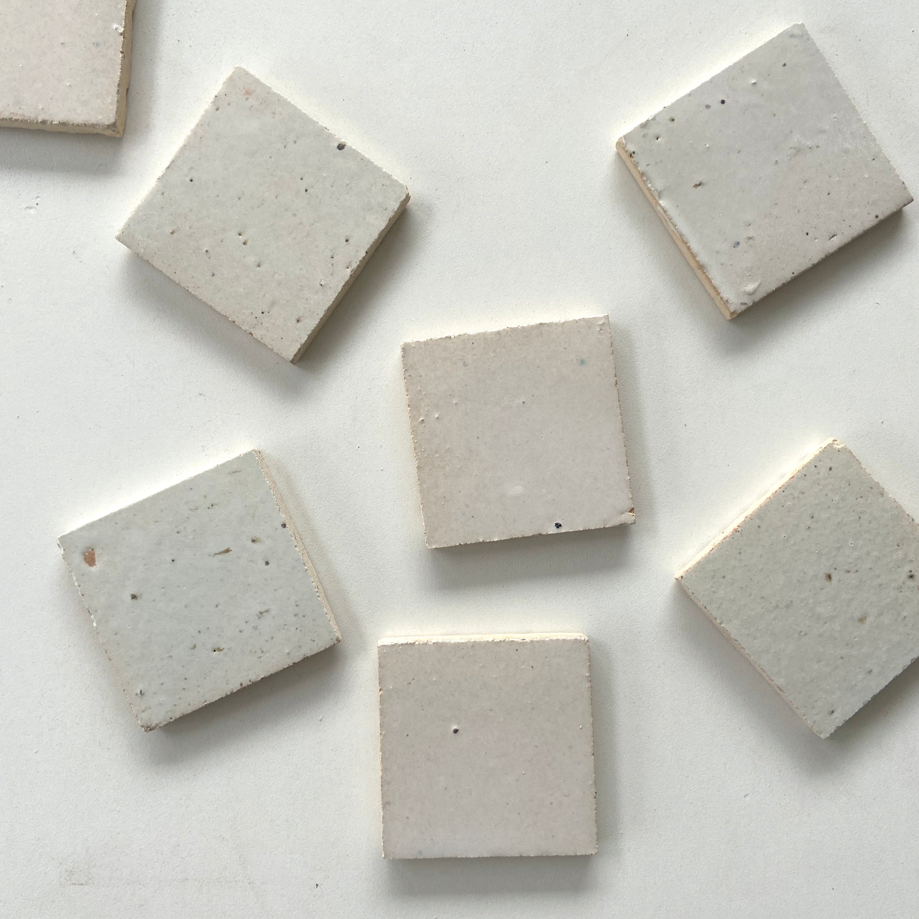 Tierra Nieve Individual Tile sample